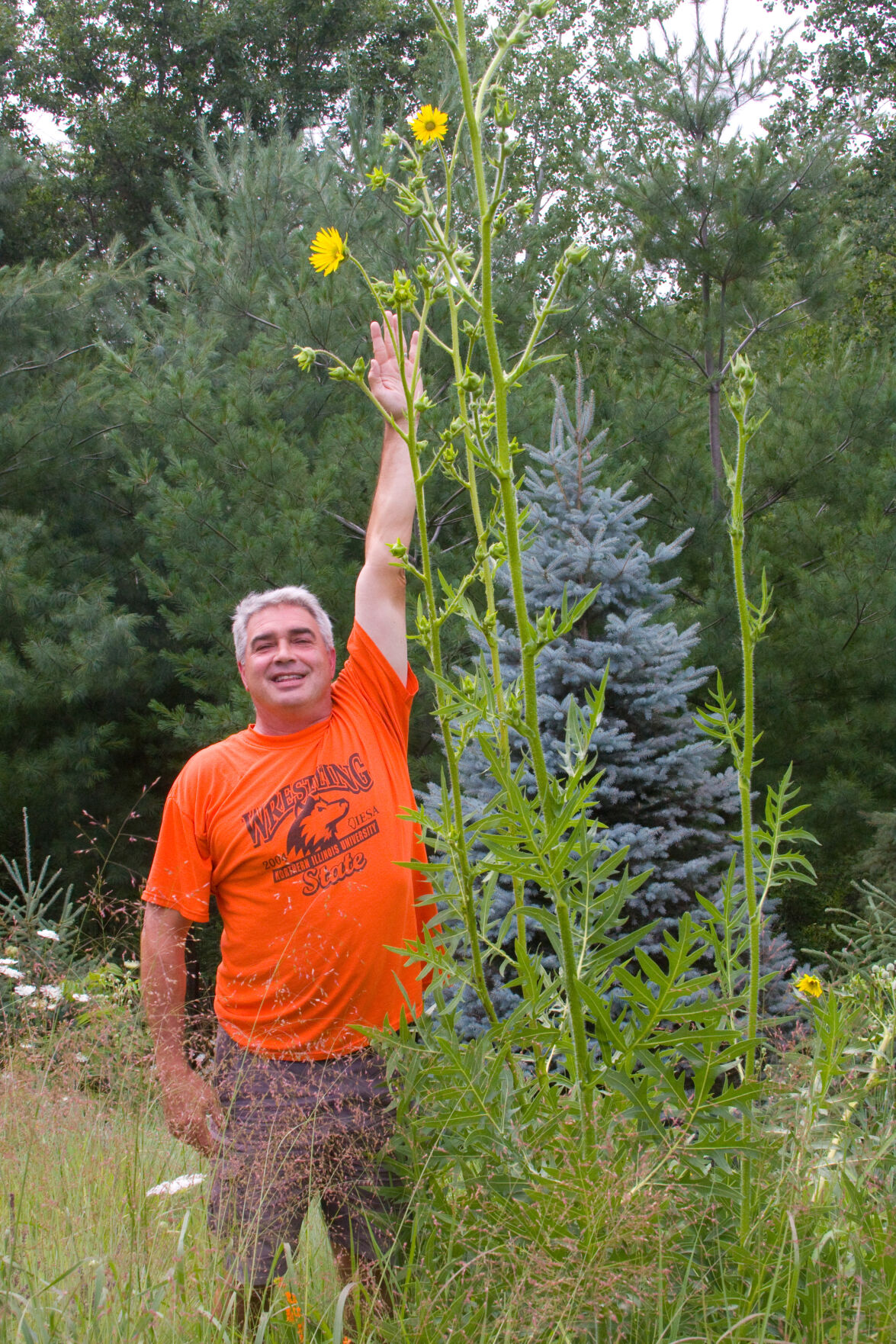 Dan Wiemer compass grass.jpg